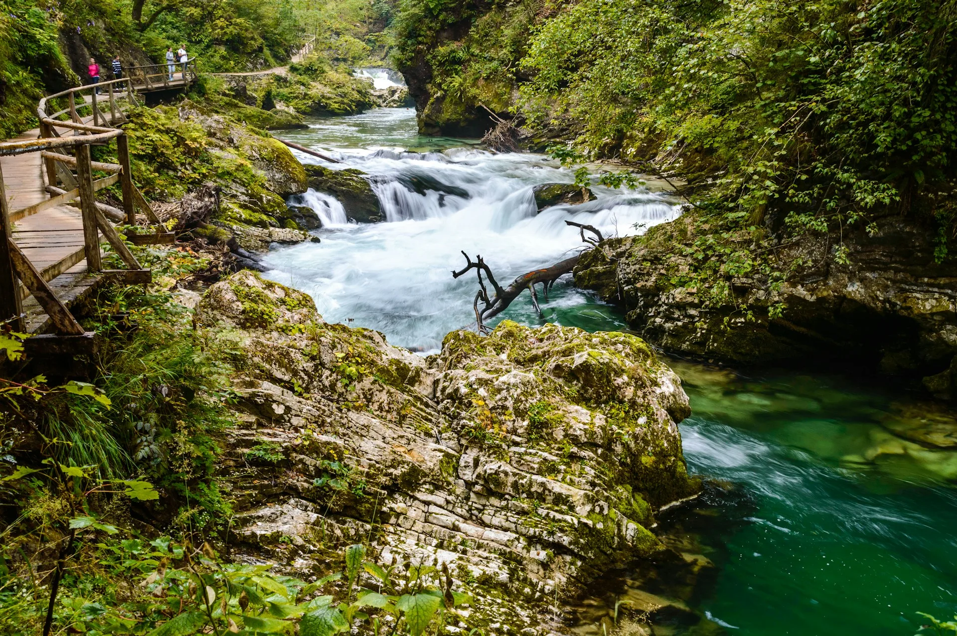 Vintgar Gorge