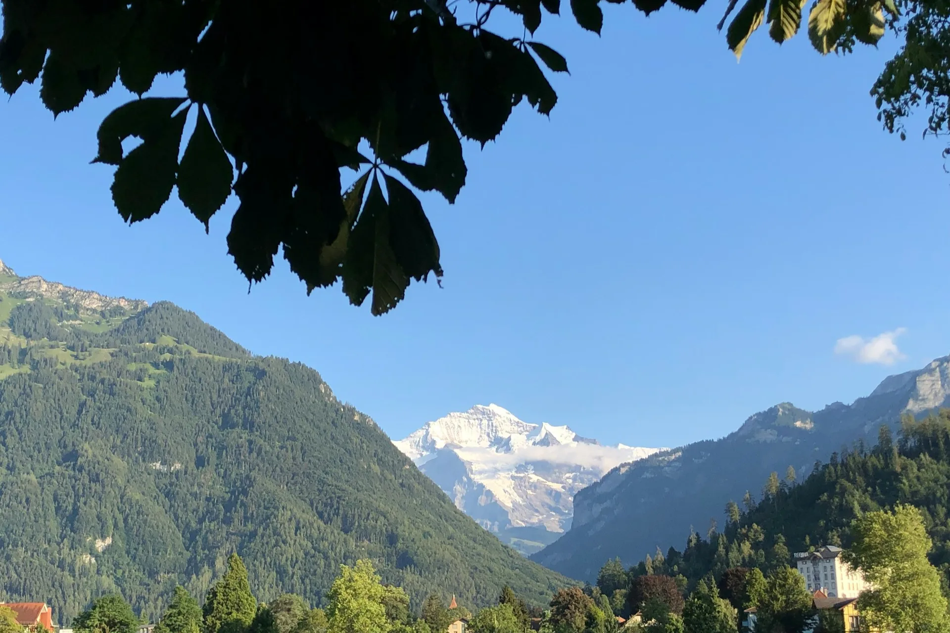 Interlaken Höhematte park and Jungfrau views on Day 5 of Switzerland Family Tour
