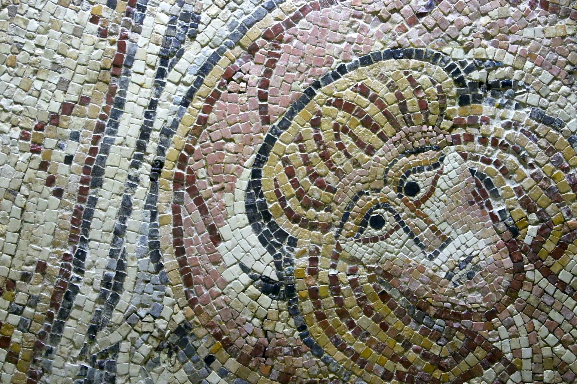 Ancient Byzantine mosaics in Madaba showing intricate colored stone artwork and historical maps