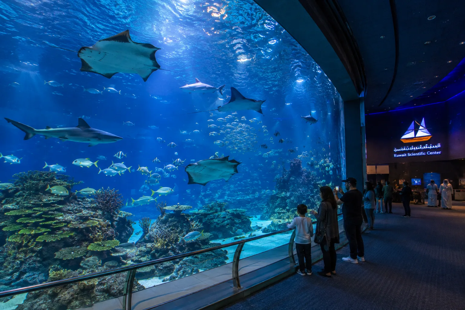 Kuwait Scientific Center aquarium and marine life - Day 3 of Kuwait Family Tour