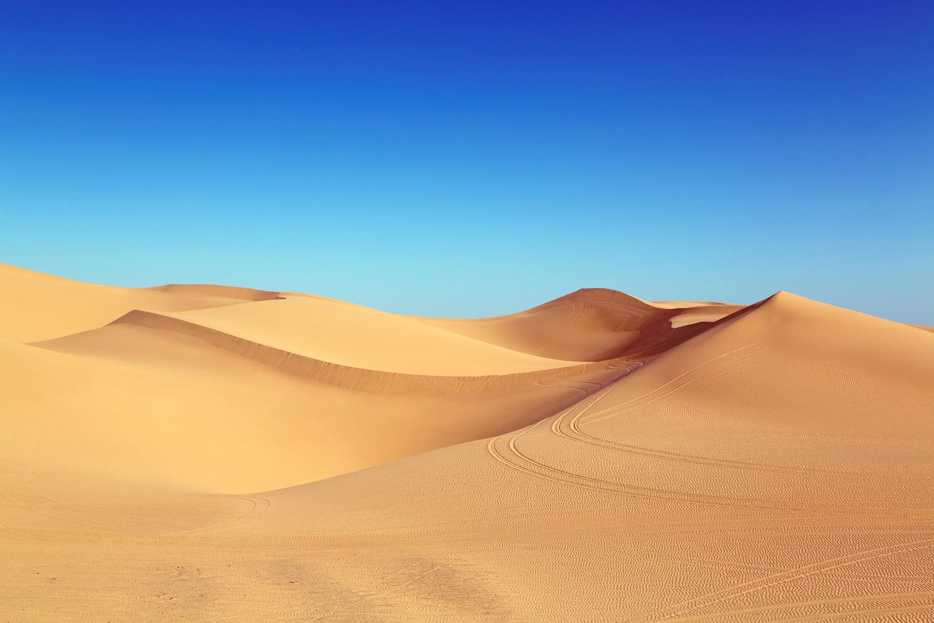 Wahiba Sands desert dunes and Wadi Bani Khalid on Day 3 of Oman Family Tour