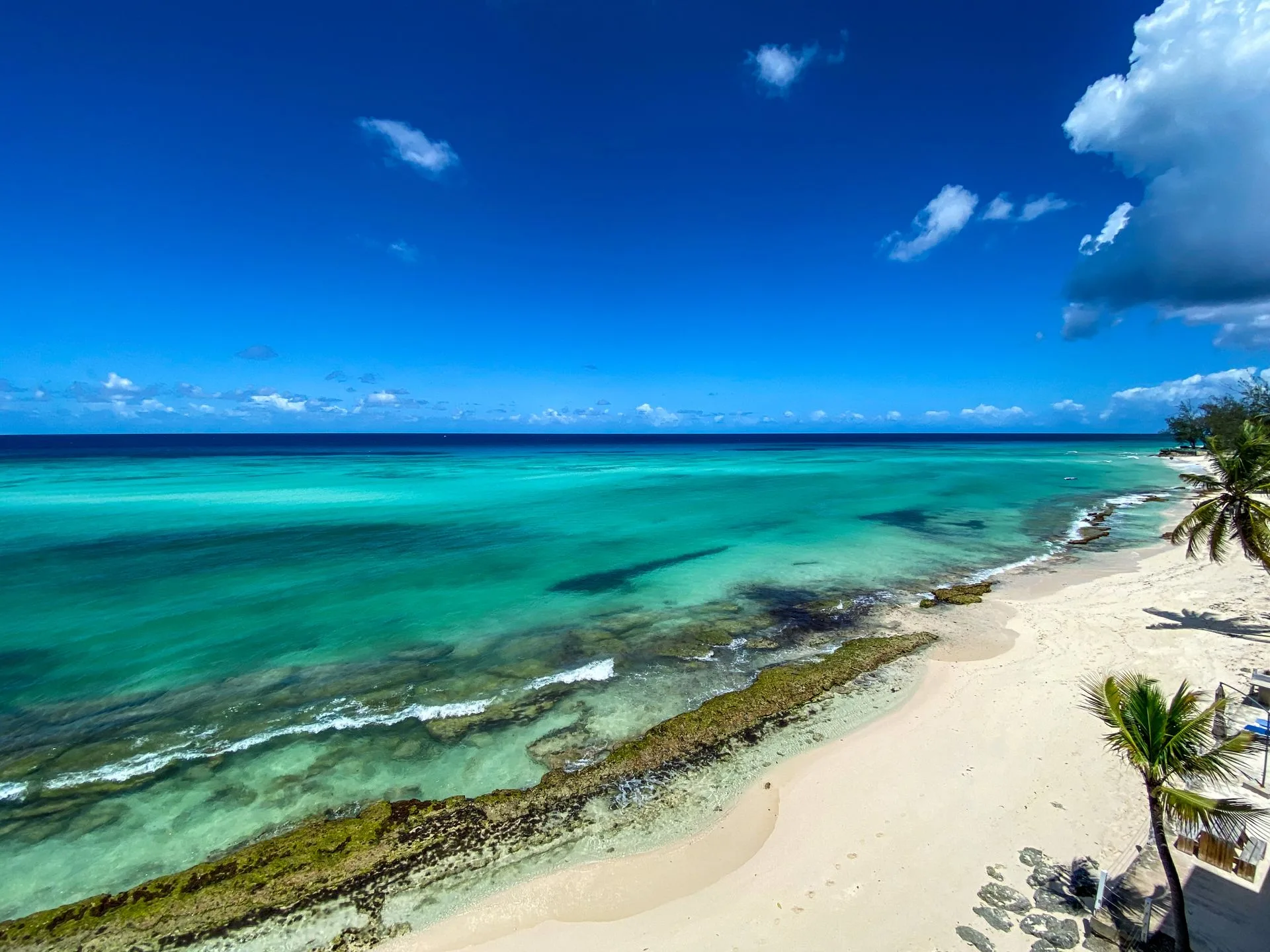 Barbados beach arrival - turquoise Caribbean waters, white sand, and swaying palm trees welcoming families on Day 1 of Barbados Family Tour Package