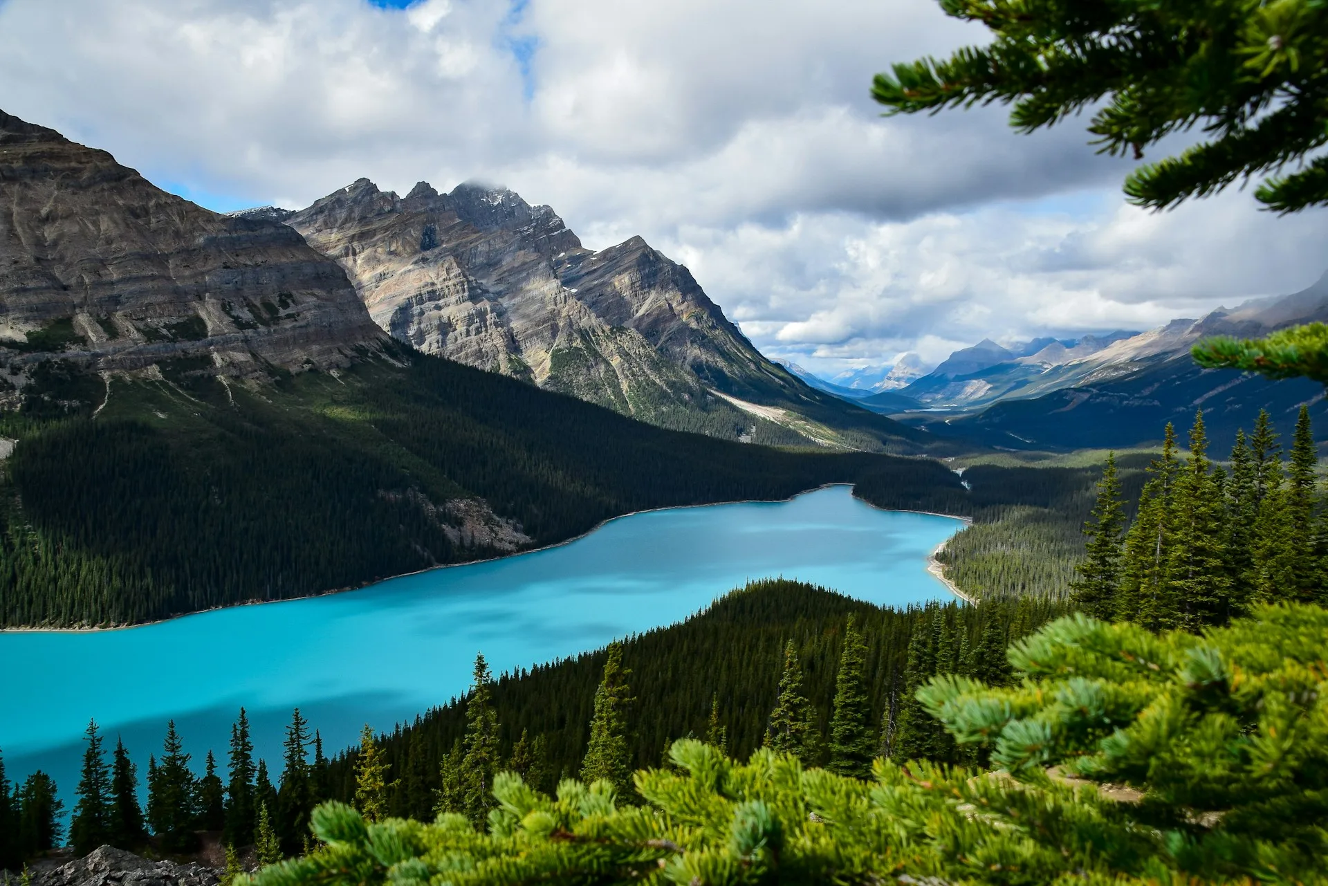Peyto Lake wolf-head shape viewpoint photography Icefields Parkway