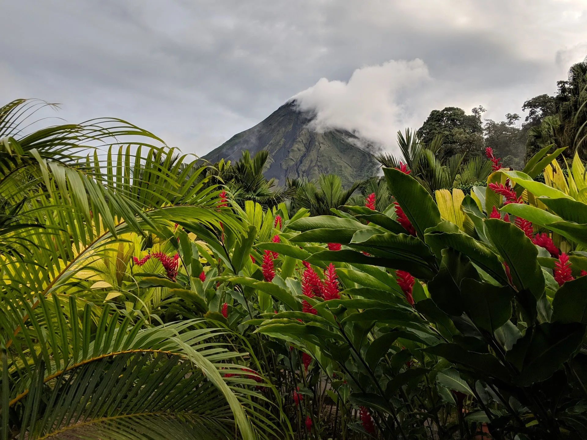 Scenic drive to La Fortuna and Arenal Volcano region on Day 2 of Costa Rica Family Tour
