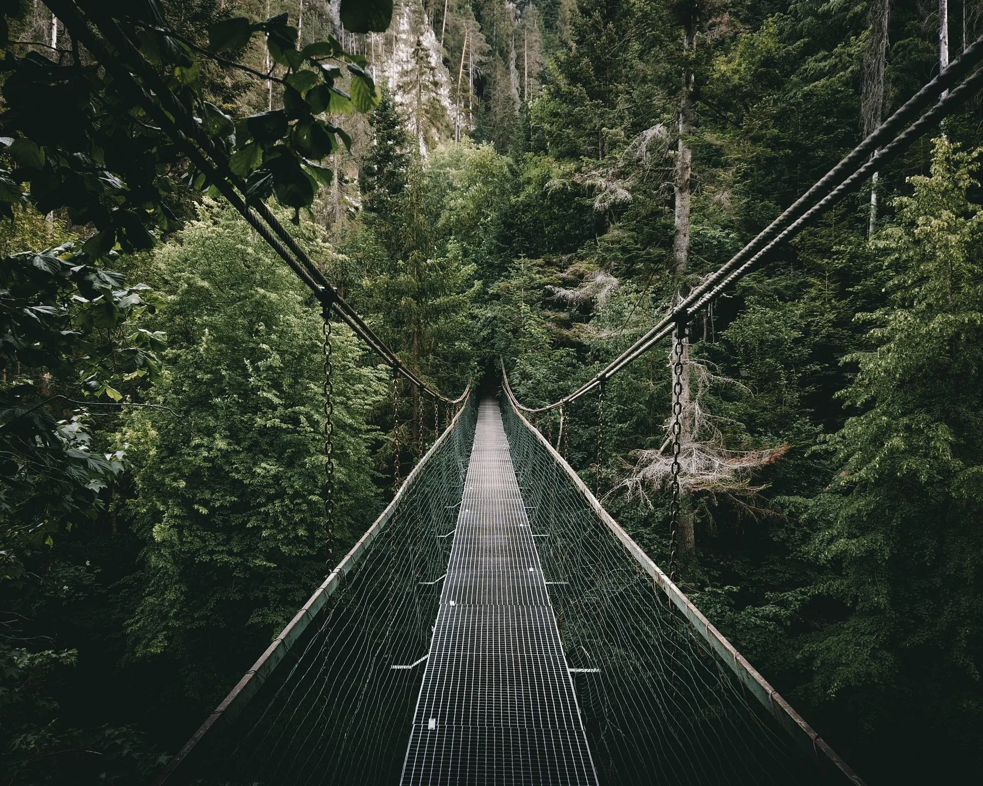 Arenal Volcano National Park nature walk and hanging bridges on Day 3 of Costa Rica Family Tour