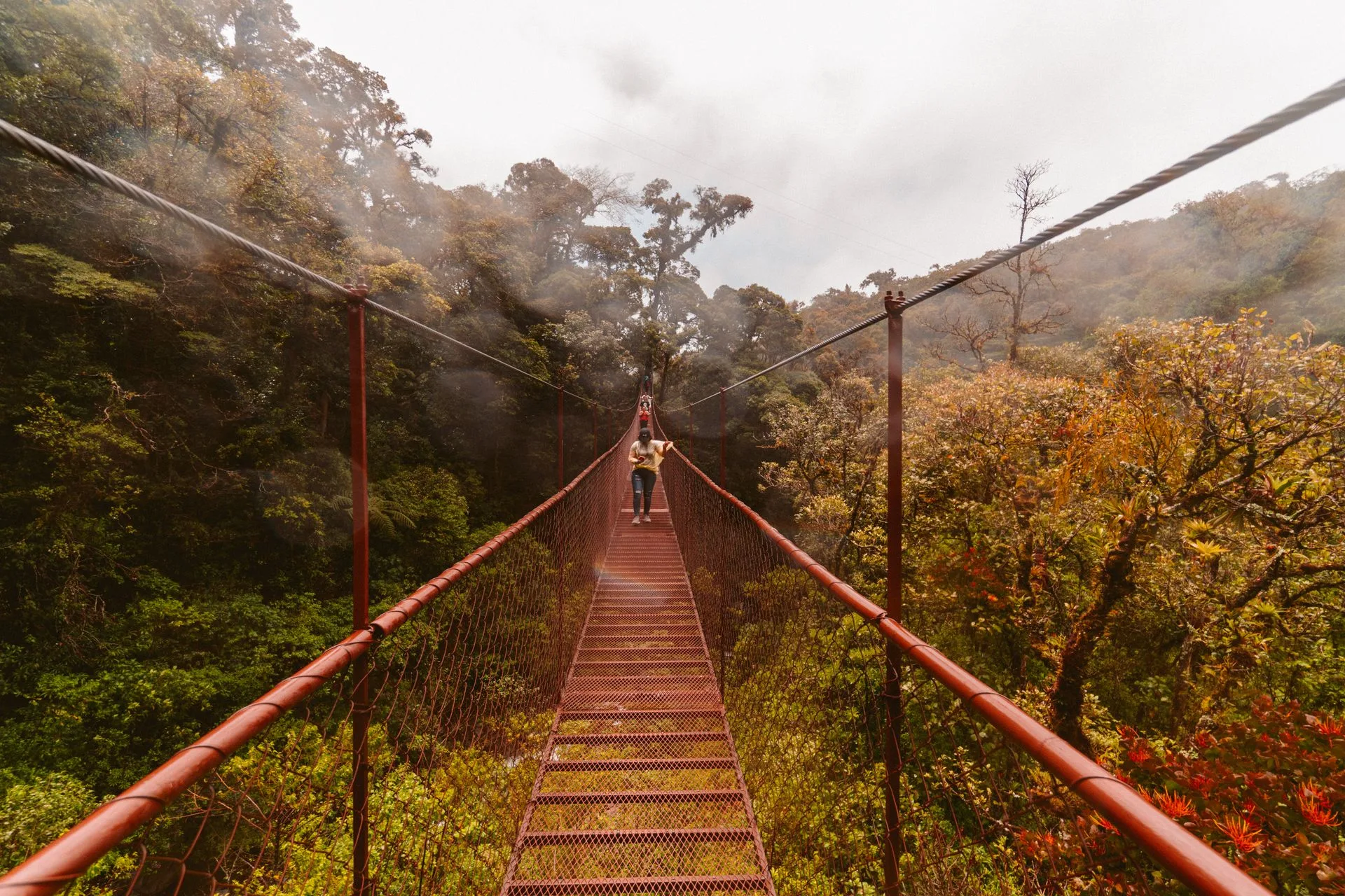 Monteverde Cloud Forest zip-lining and canopy adventure on Day 5 of Costa Rica Family Tour