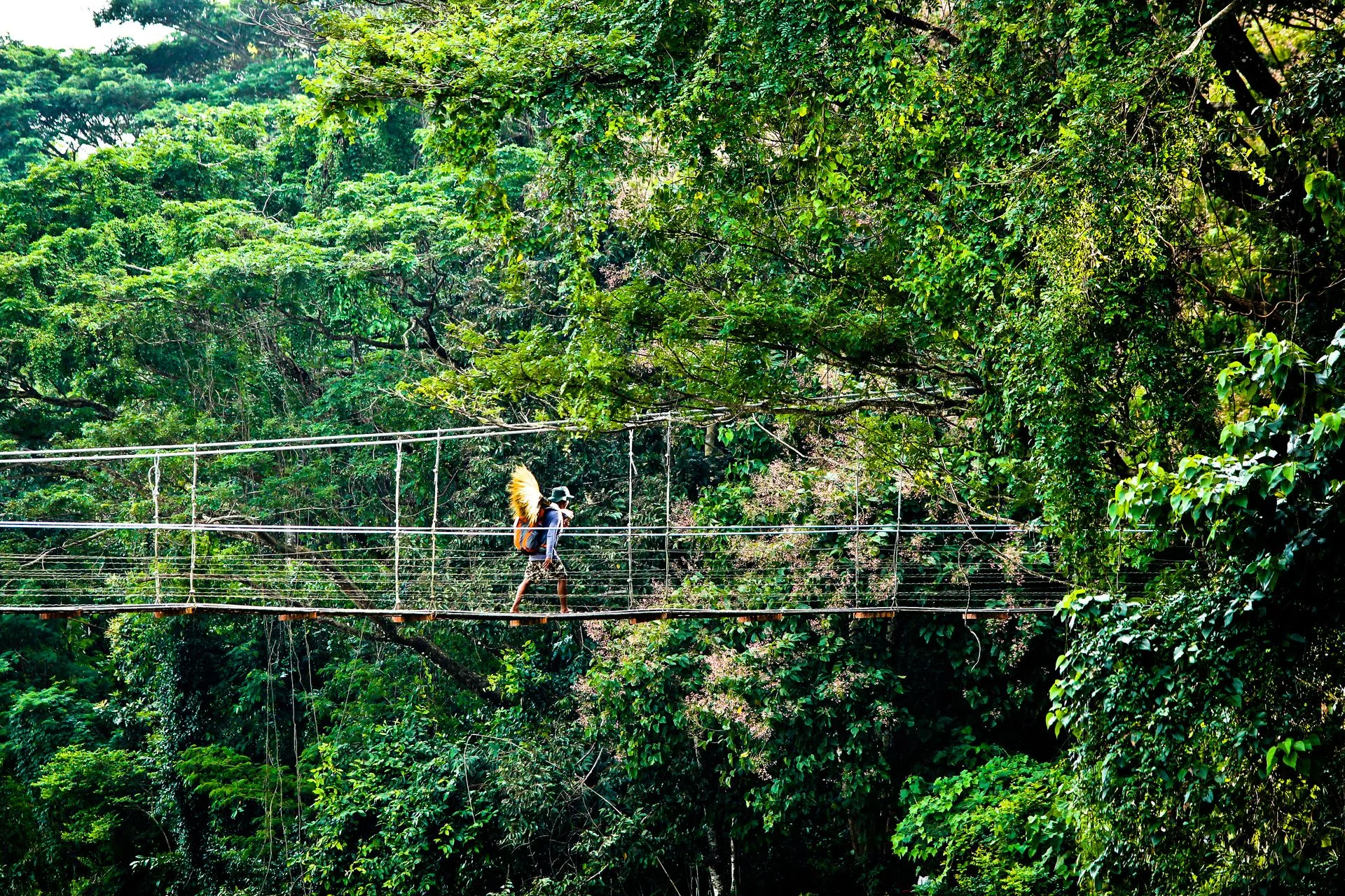 Monteverde cloud forest hanging bridge photography spot