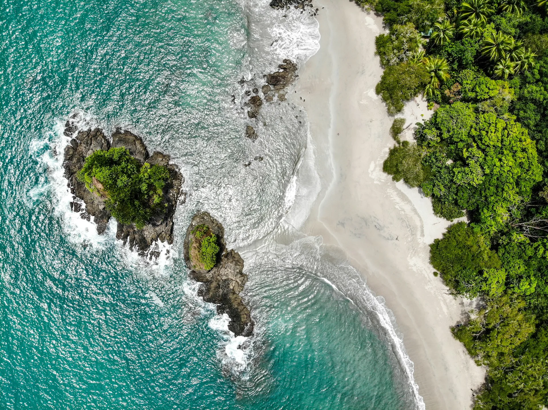 Manuel Antonio beach and wildlife photography location