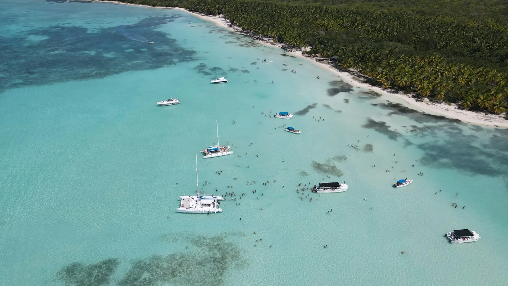 Saona Island pristine beach with palm trees - Day 3 of Dominican Republic Family Tour