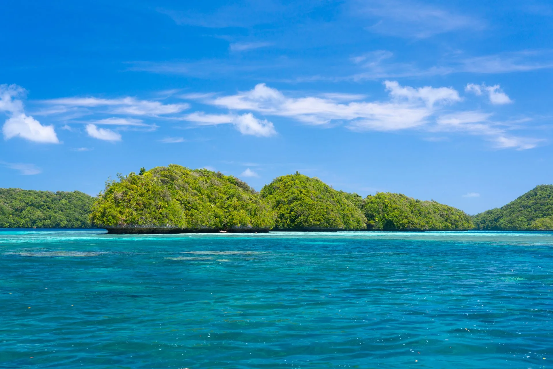 Mangrove channels in Los Haitises National Park - Day 7 of Dominican Republic Family Tour