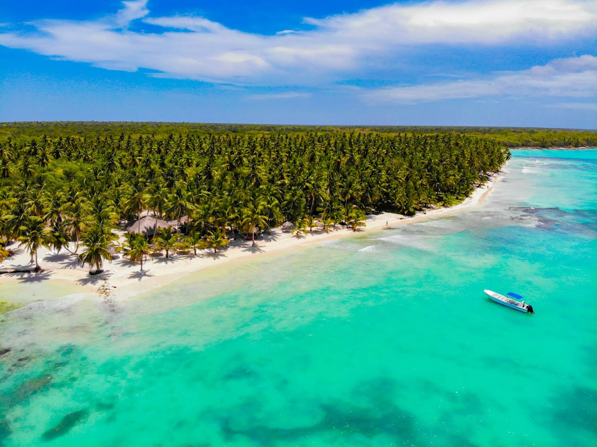 Pristine Saona Island beach with palm trees and turquoise water