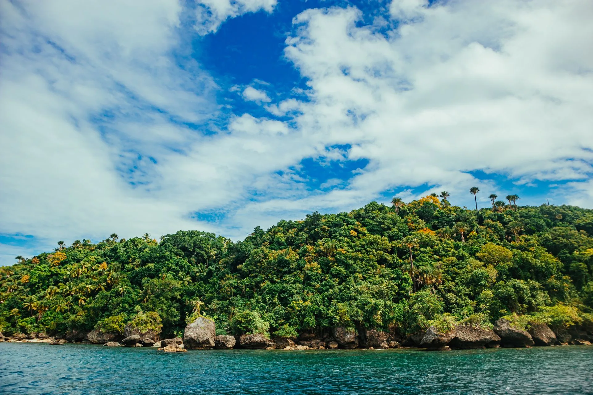 Mangrove channels and limestone formations in Los Haitises National Park