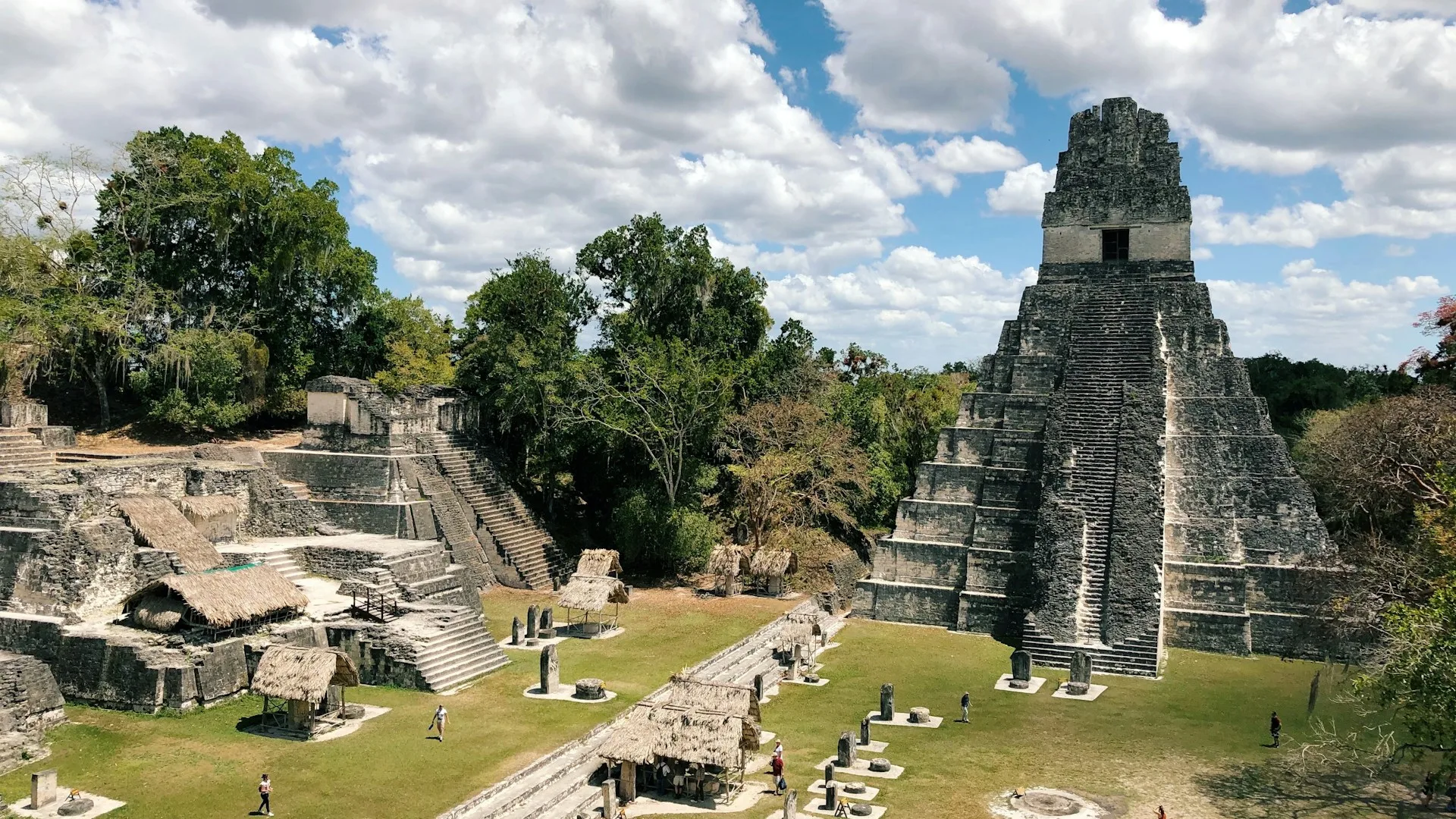 Tikal Temple IV ancient Mayan pyramid rising above rainforest jungle canopy at sunrise - Day 7 of Guatemala Family Tour Package