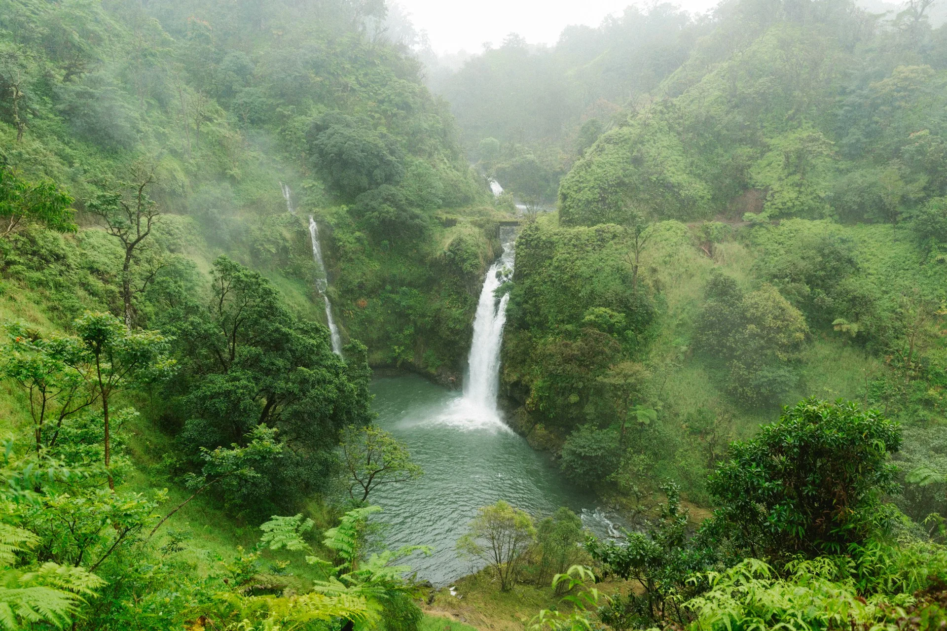 Road to Hana - waterfalls and tropical rainforest on Day 5 of Hawaii Family Tour