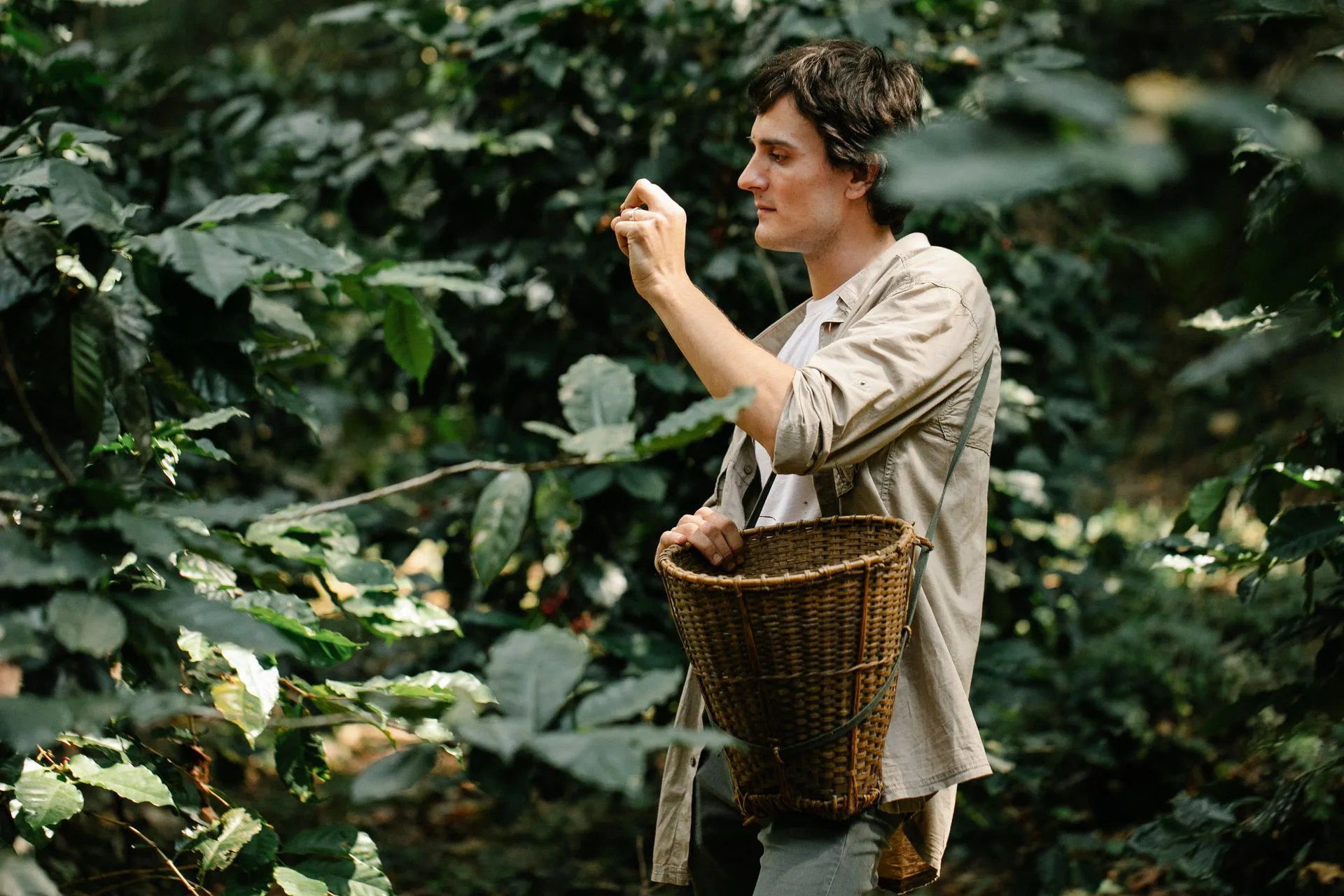 Kona coffee plantation and beach - Day 9 of Hawaii Family Tour Package