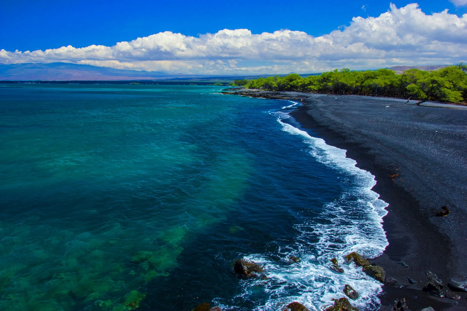 Punalu'u Black Sand Beach with turtles and ocean
