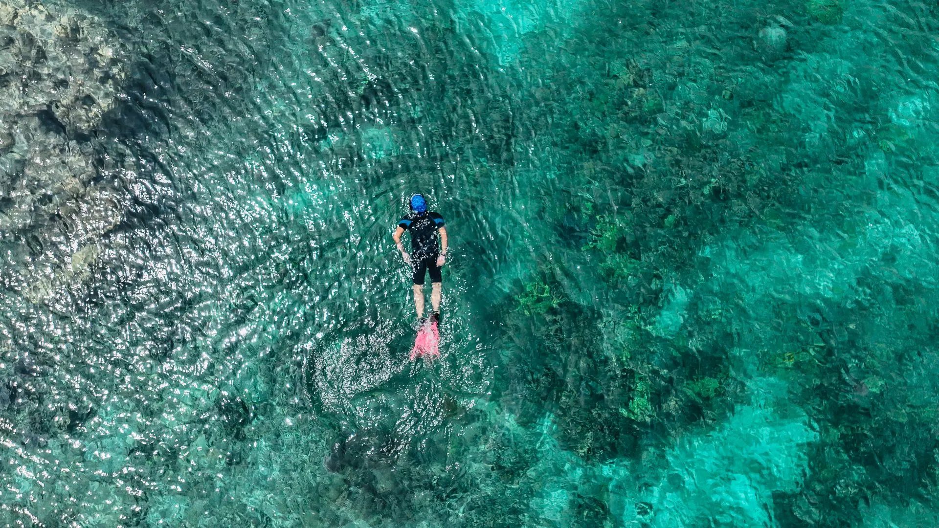 Snorkeling adventure in Montego Bay Marine Park - Day 2 of Jamaica Family Tour