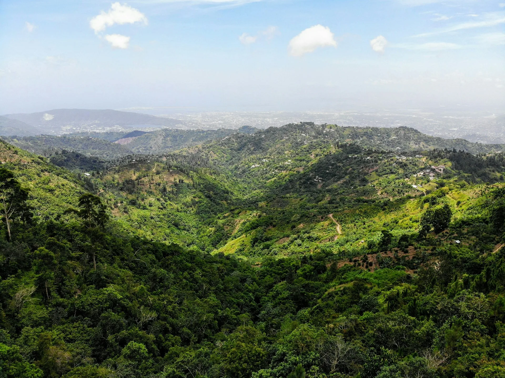 Mystic Mountain and Blue Mountains coffee plantation tour - Day 4 of Jamaica Family Tour