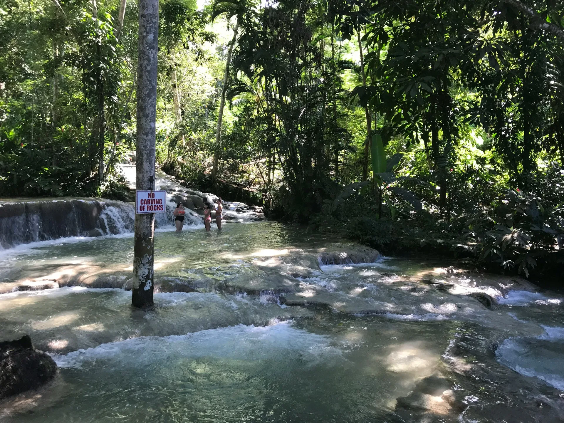 Dunn's River Falls photography spot
