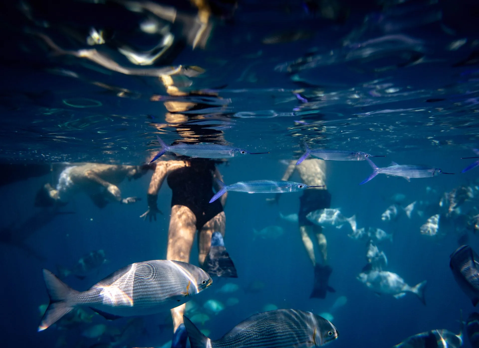 Marine park underwater photography