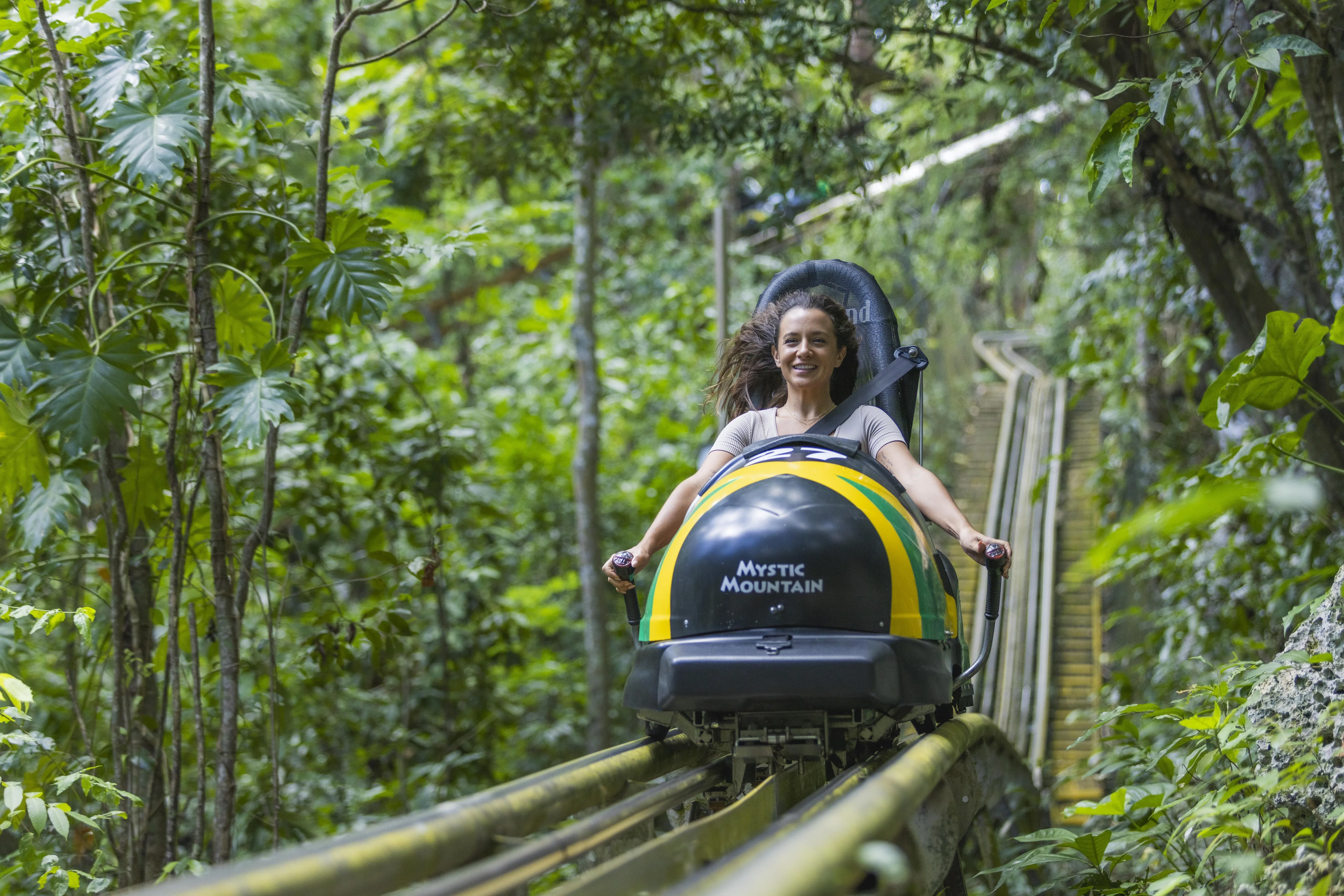 Mystic Mountain rainforest photography