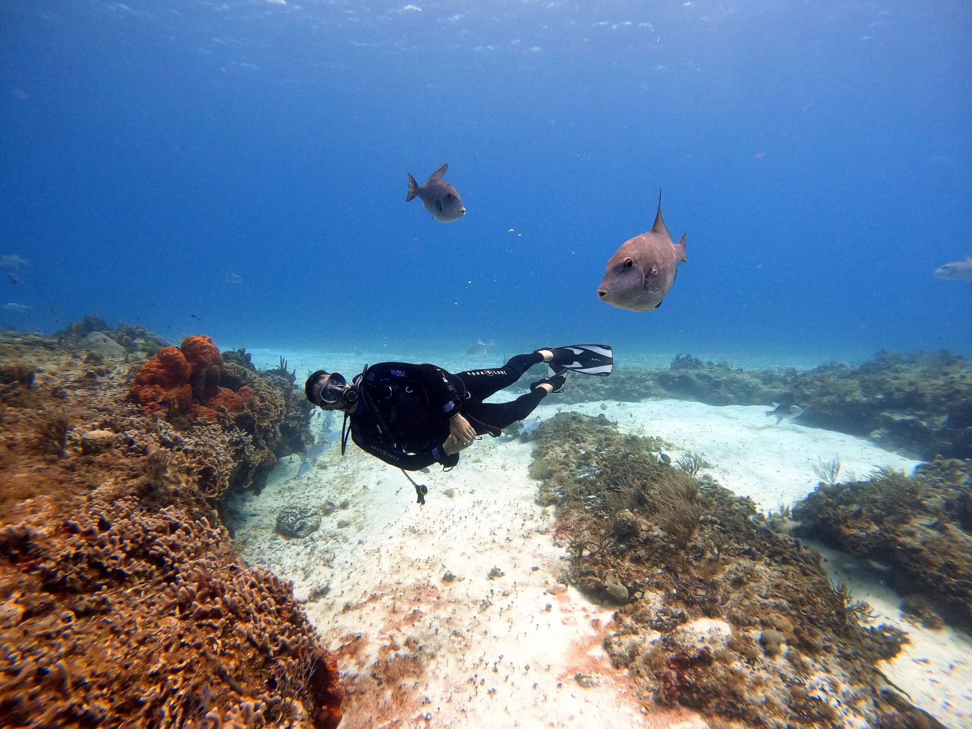 Cozumel Island coral reefs and beach club - Day 8 of Mexico Family Tour