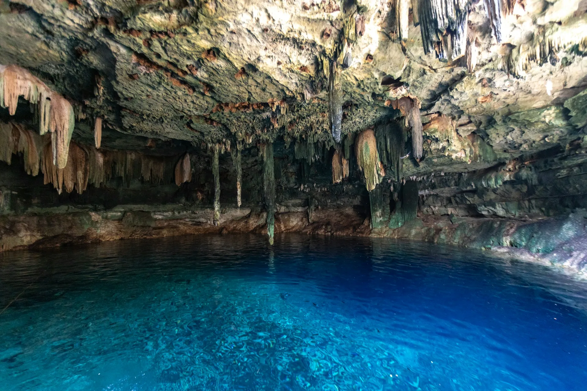 Cenote Ik Kil with hanging vines and clear blue water
