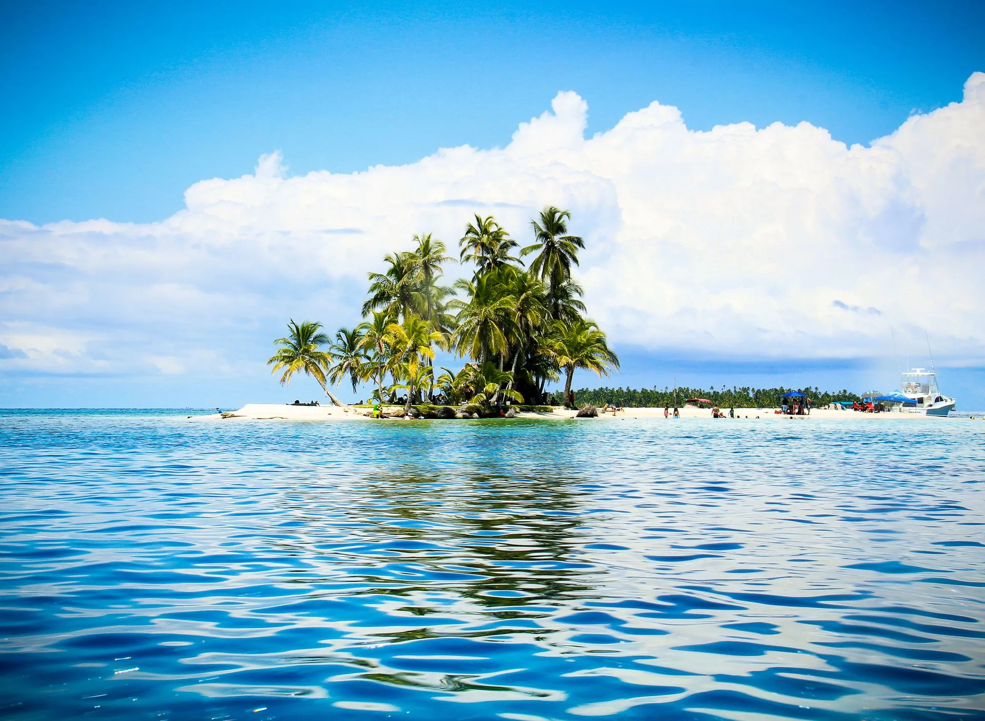 Pristine Caribbean beach with turquoise water and palm trees - Day 5 of Panama Family Tour