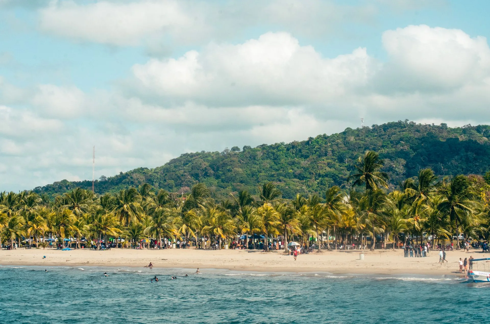 Pristine Caribbean beach with turquoise water and palm trees