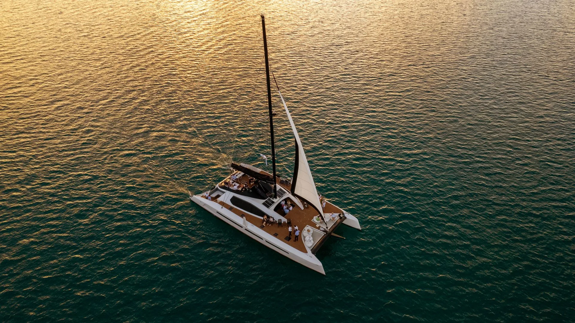 Catamaran cruise and bioluminescent bay in Vieques - Day 4 of Puerto Rico Family Tour