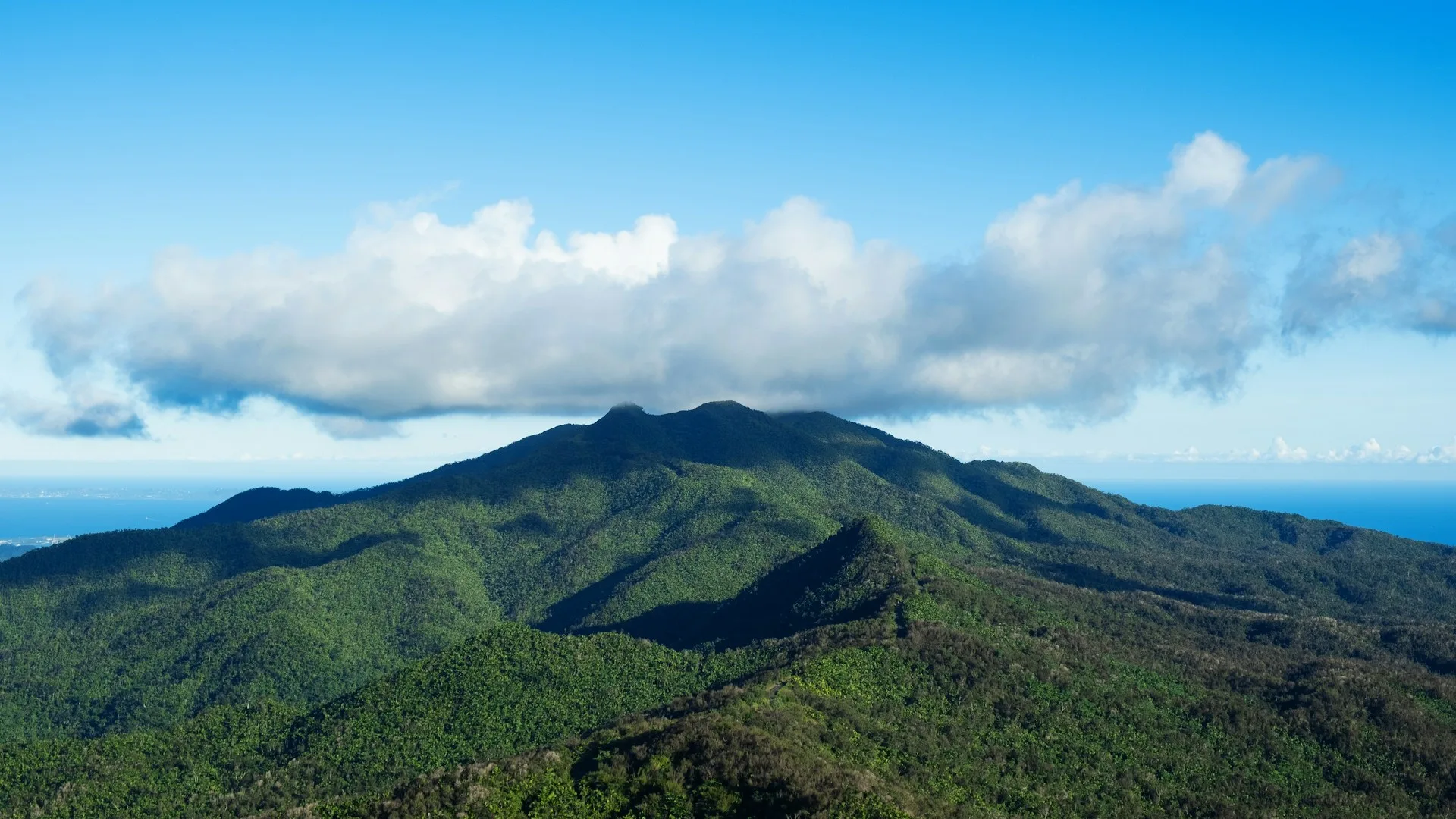 El Yunque Rainforest - waterfalls and lush vegetation on Day 5 of Puerto Rico Family Tour