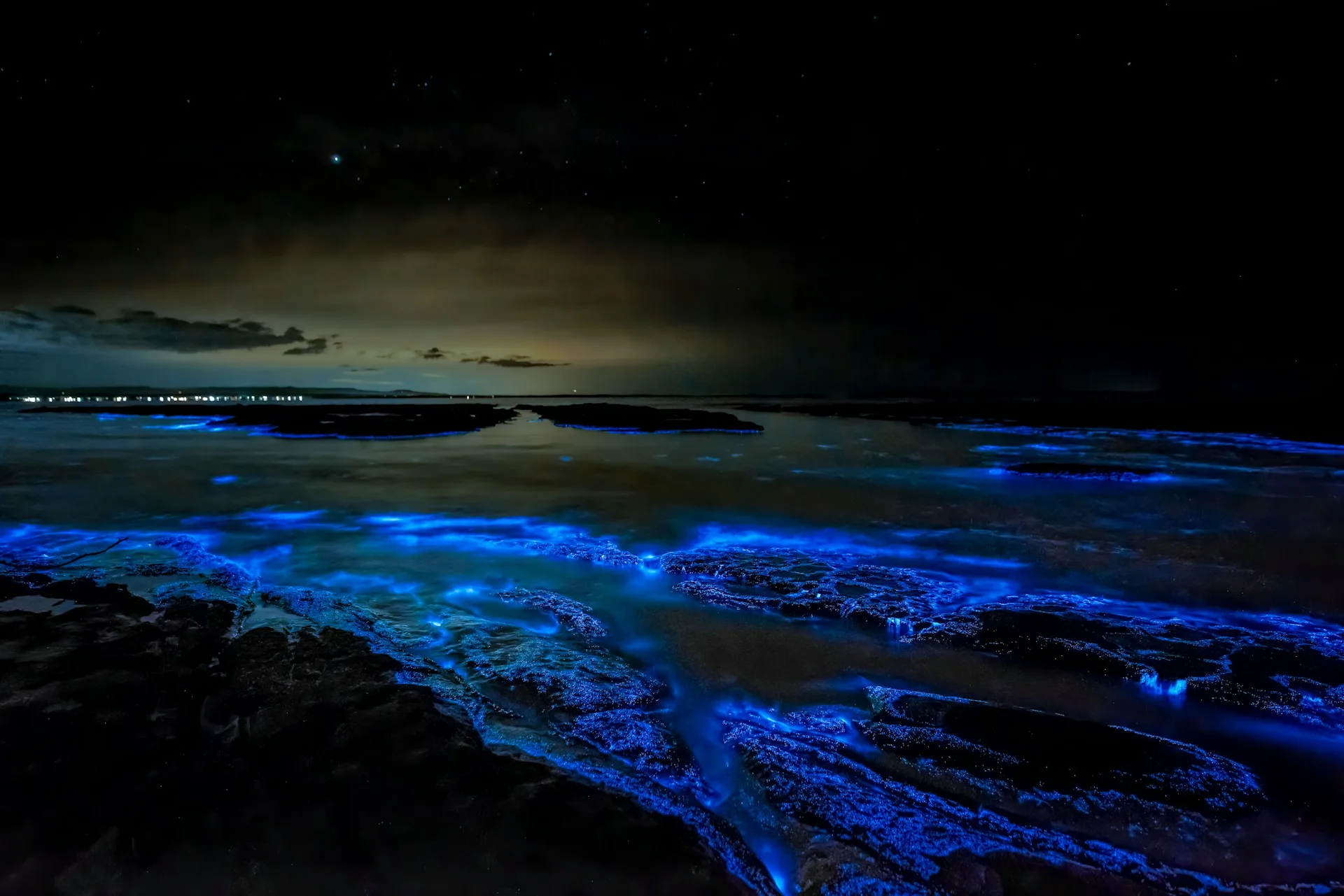 Bioluminescent bay - glowing blue-green water at night