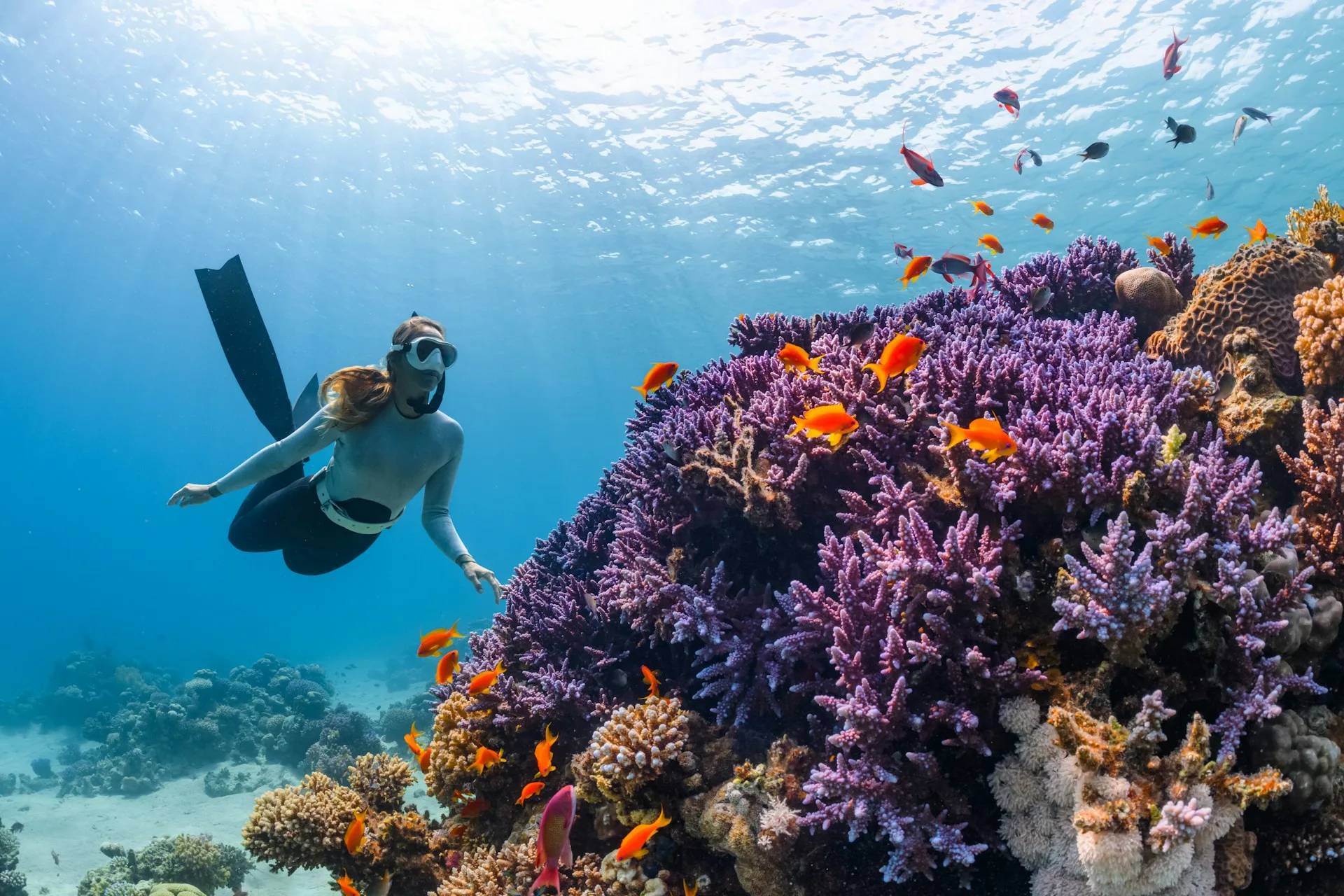 Great Barrier Reef snorkeling - Day 9 of Australia Family Tour