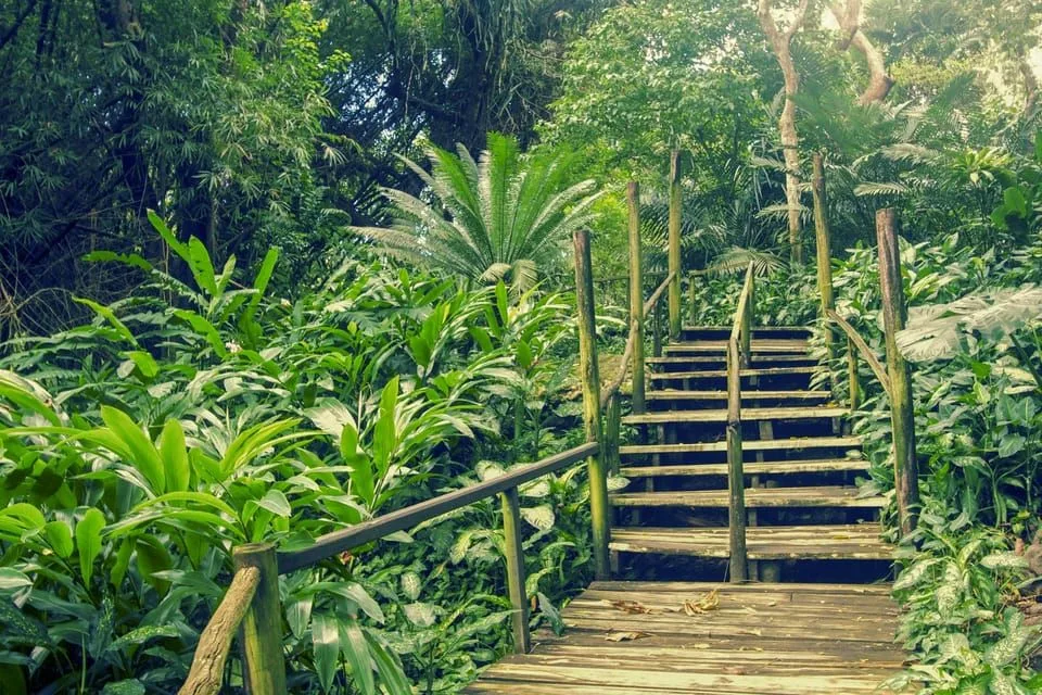 Family walking through lush orchid gardens with tropical flowers
