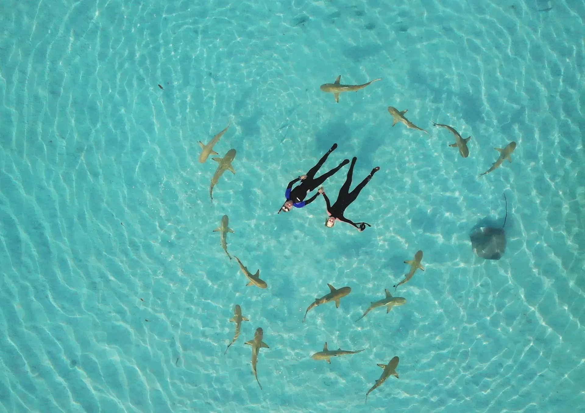 Moorea adventure on Day 4 of French Polynesia Family Tour