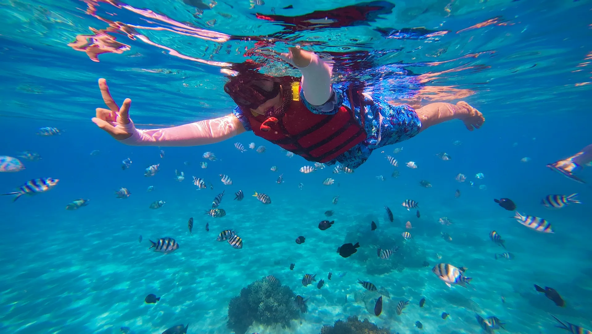 Family snorkeling among coral reefs and fish