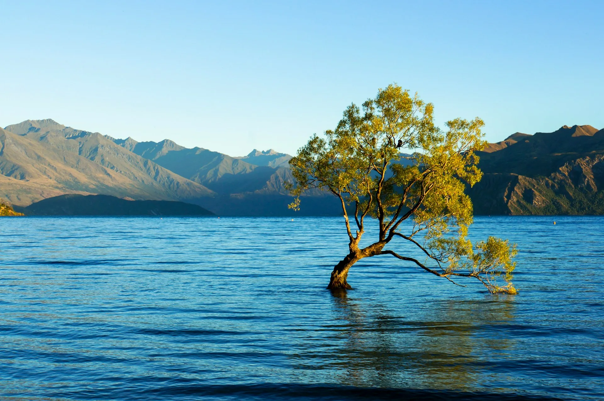 Wanaka lake and mountain views - Day 10 of New Zealand Family Tour