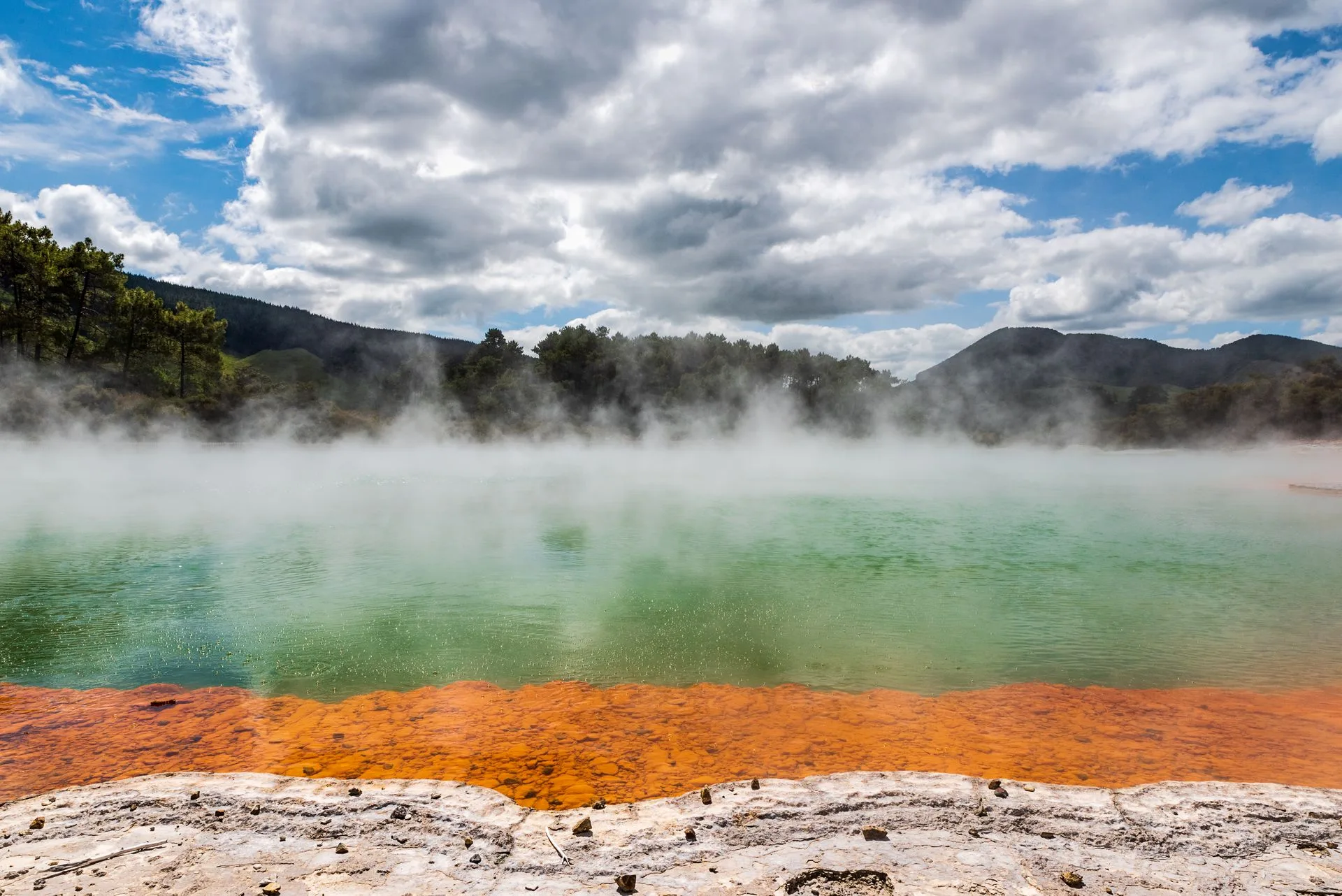 Rotorua geothermal pools and geysers - Day 4 of New Zealand Family Tour