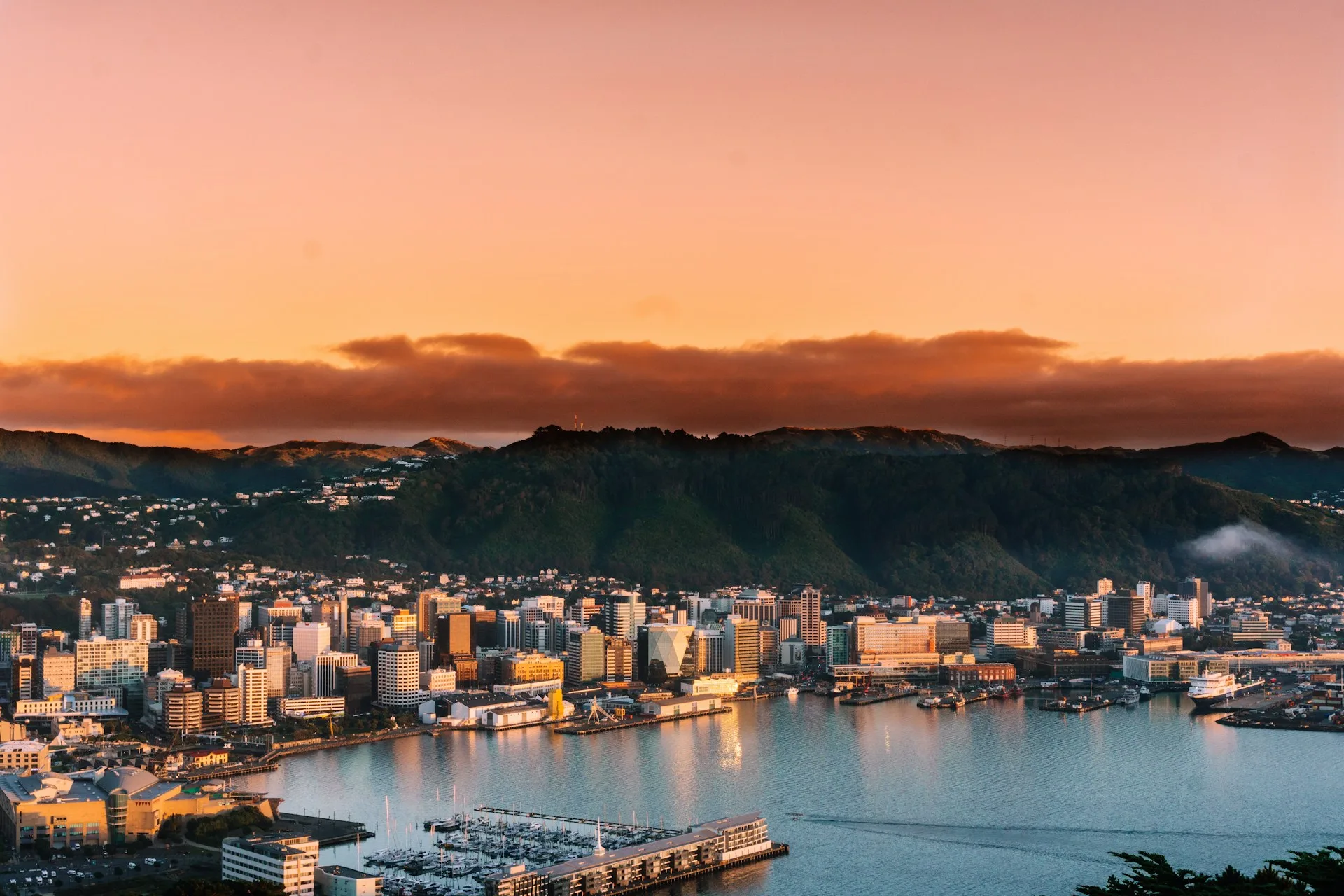 Wellington city and harbor views - Day 5 of New Zealand Family Tour