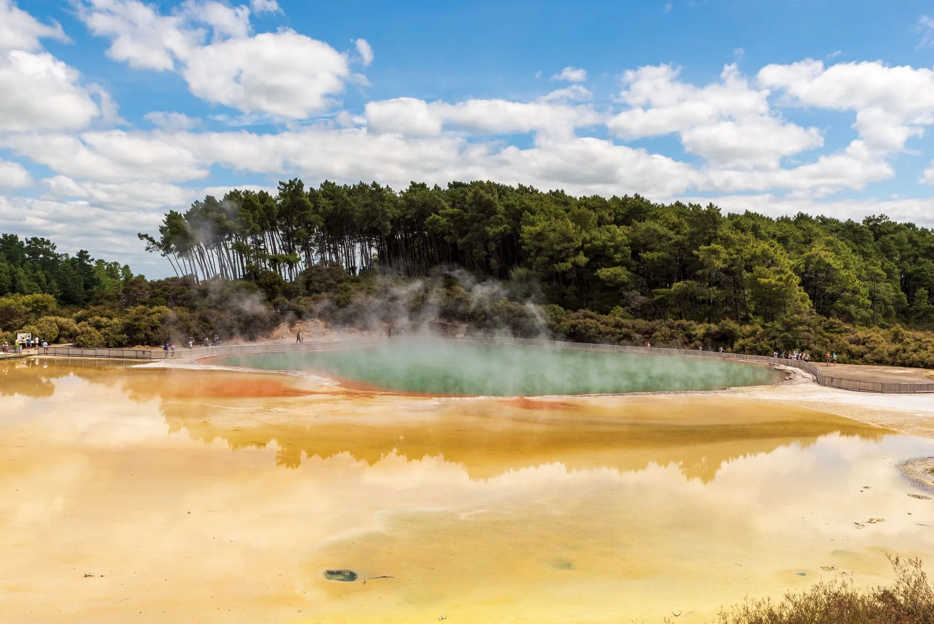 Rotorua geothermal features with colorful pools and steam