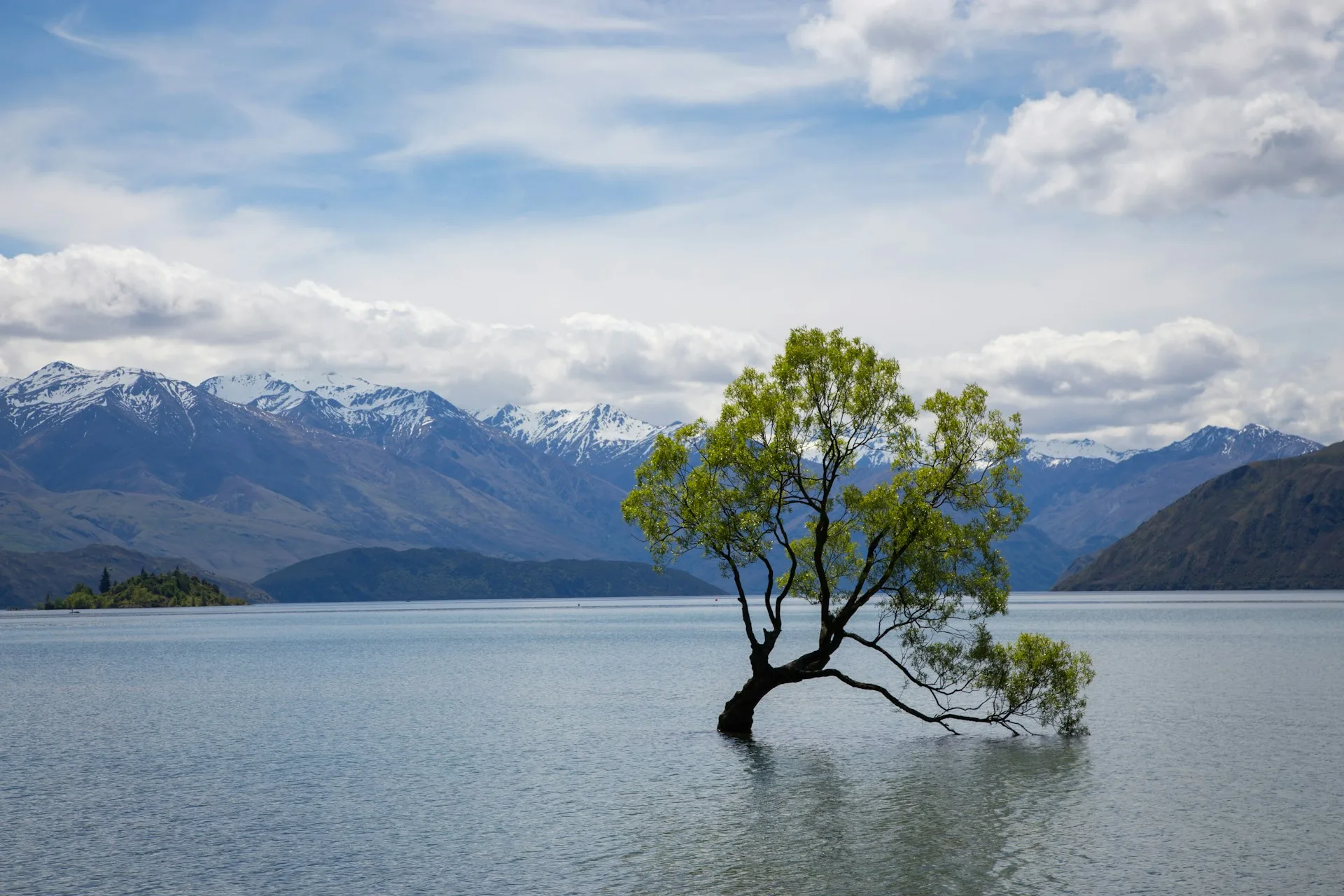 Wanaka Tree and Lake Wanaka with mountain reflections