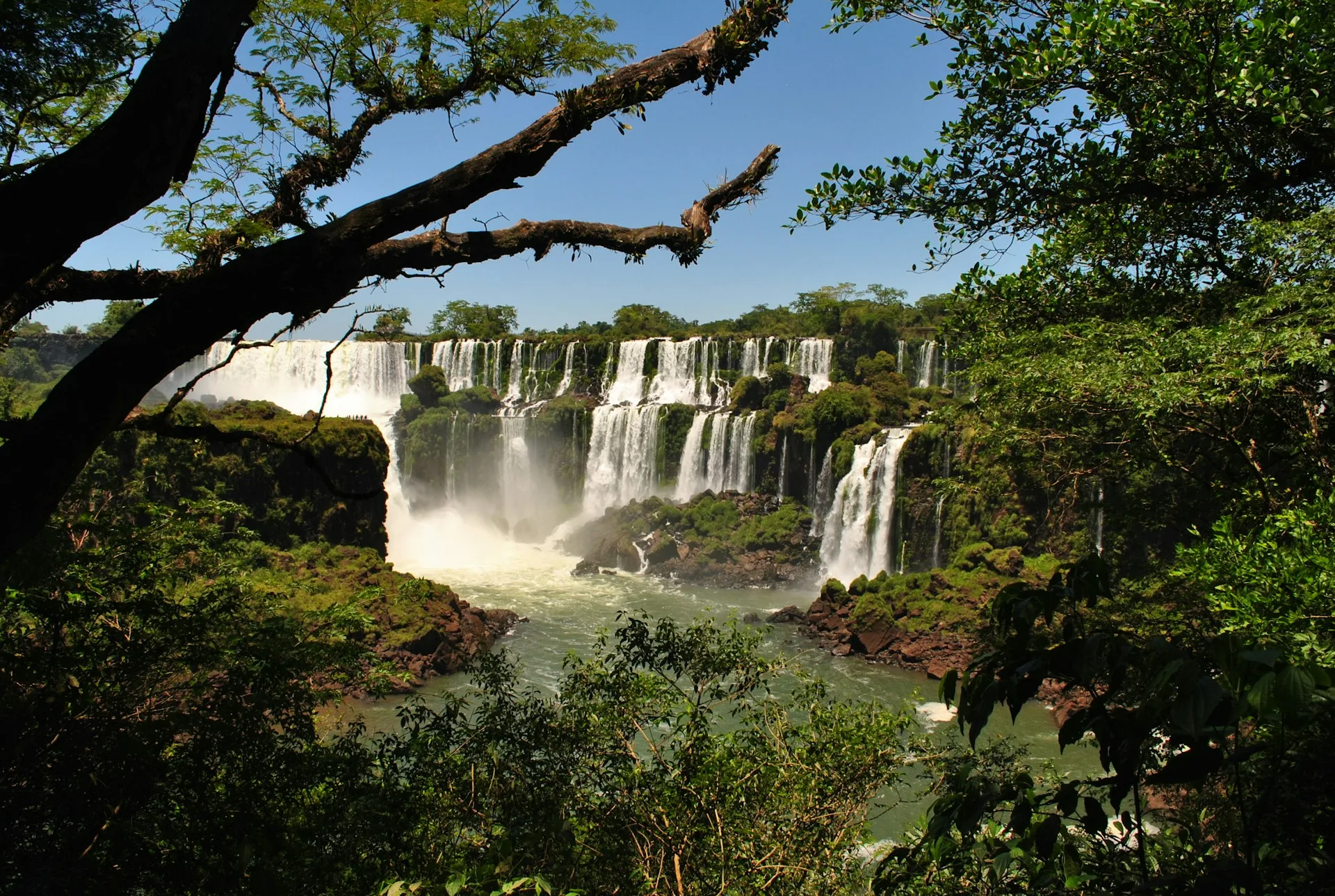 Lush subtropical rainforest and river landscape near Iguazu Falls region - Day 4 of Argentina Family Tour Package
