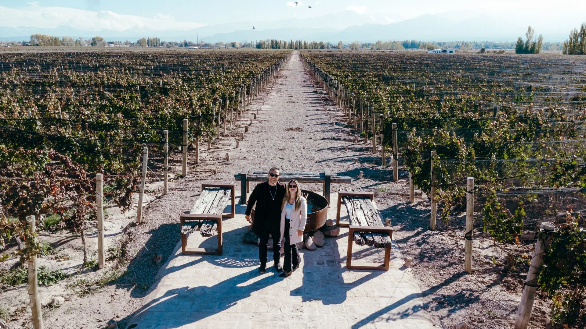 Family-friendly vineyard tour in Mendoza - rows of Malbec grapevines with Andes Mountains backdrop on Day 7 of Argentina Family Tour