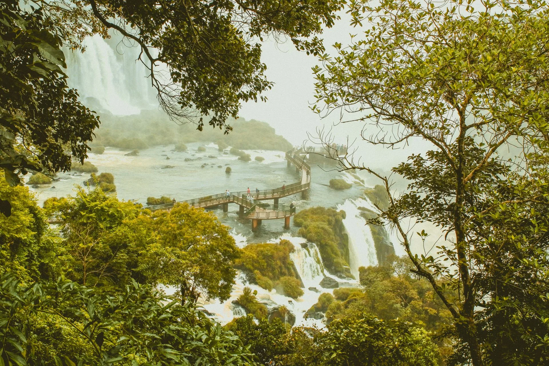 Lush rainforest trail with waterfall views at Iguazu National Park