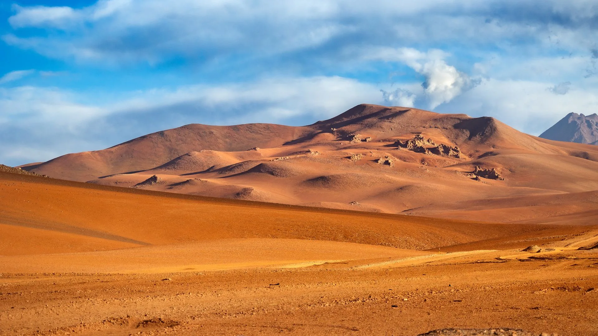 Atacama Desert transfer on Day 4 of Chile Family Tour