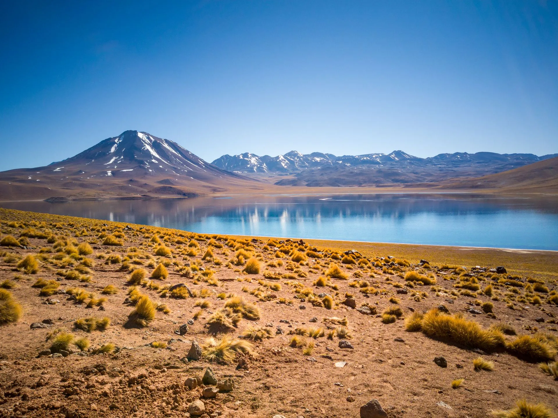 Altiplanic lagoons on Day 6 of Chile Family Tour