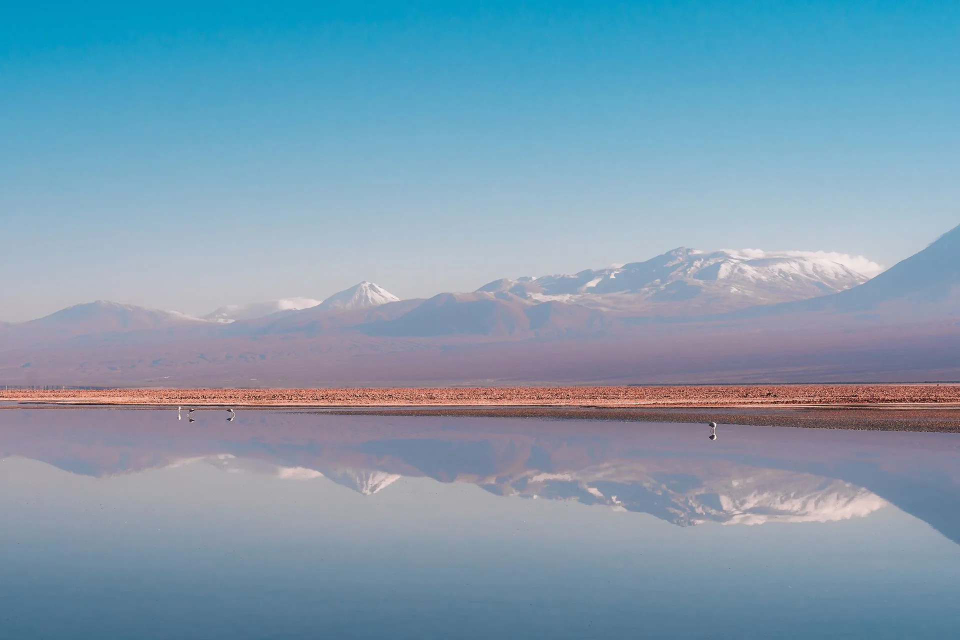 Altiplanic lagoons reflecting volcanic peaks in mirror-like waters
