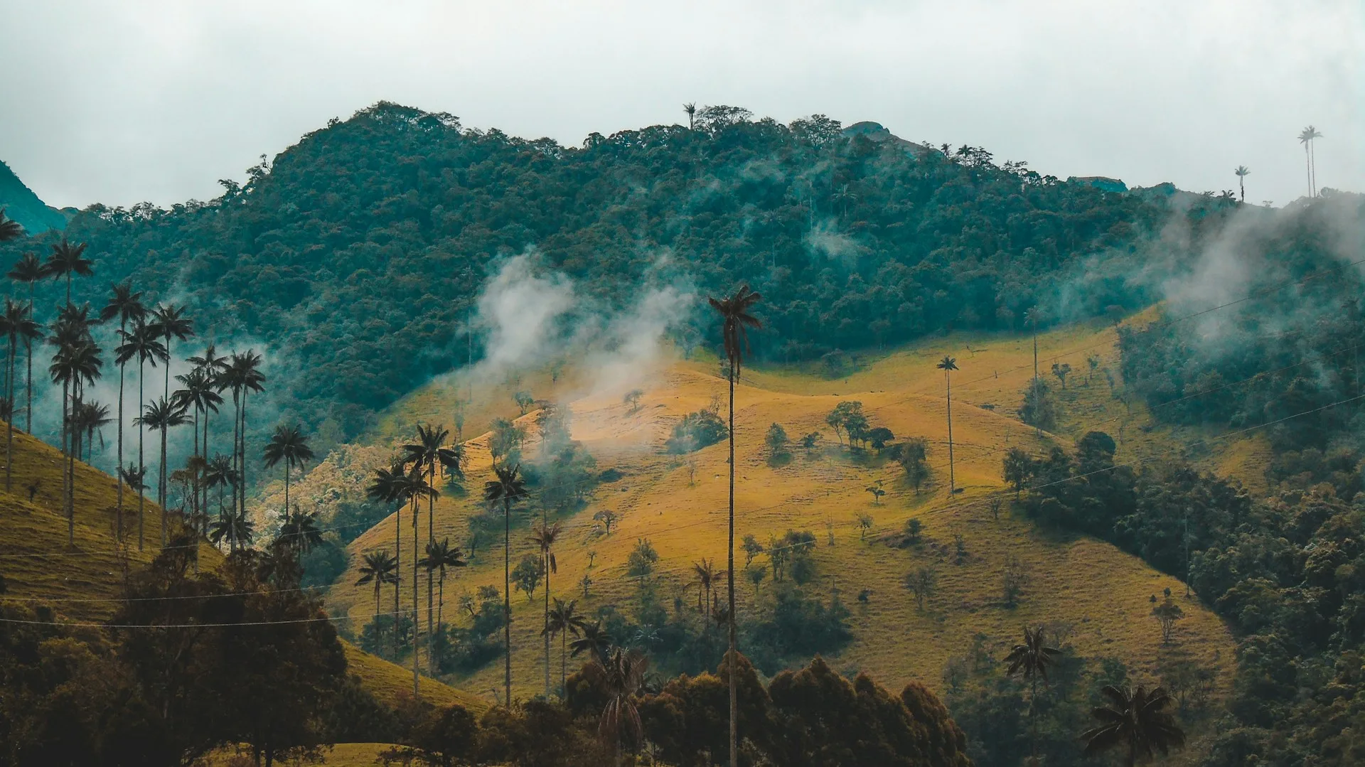Coffee region - Day 3 of Colombia Family Tour