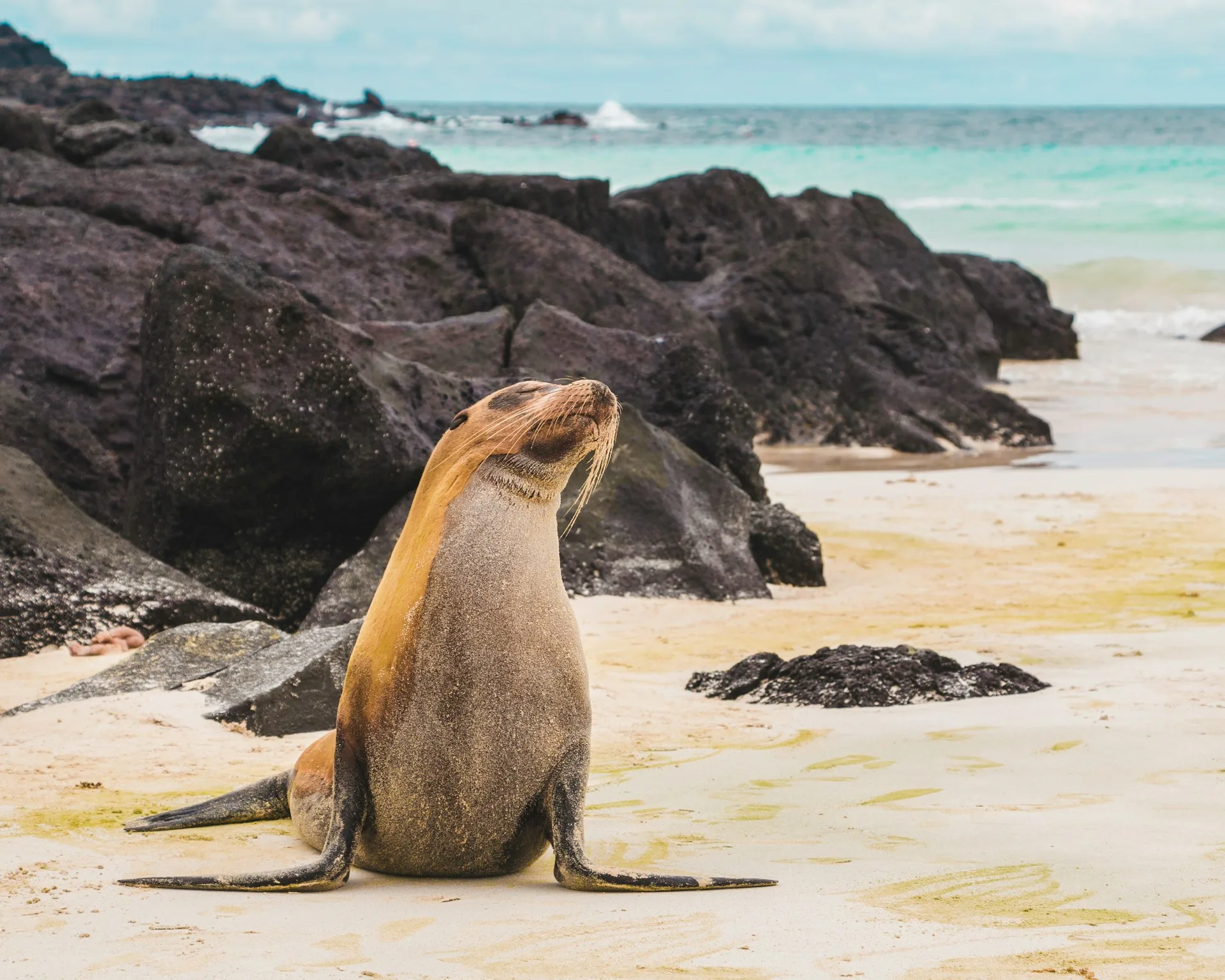 Galapagos Santa Cruz - Day 4 of Ecuador Family Tour