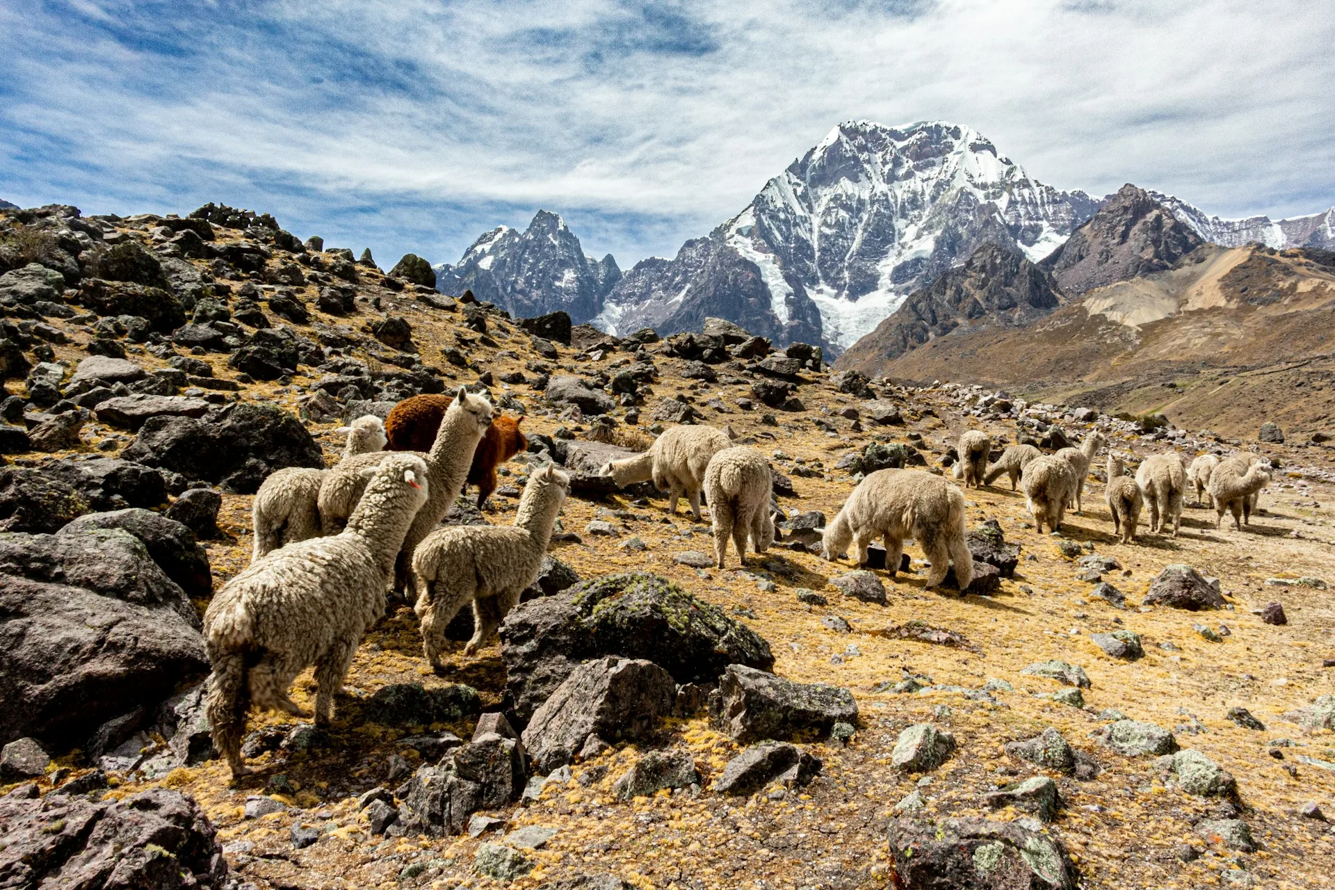 Andean landscape and La Raya Pass - Day 7 of Peru Family Tour